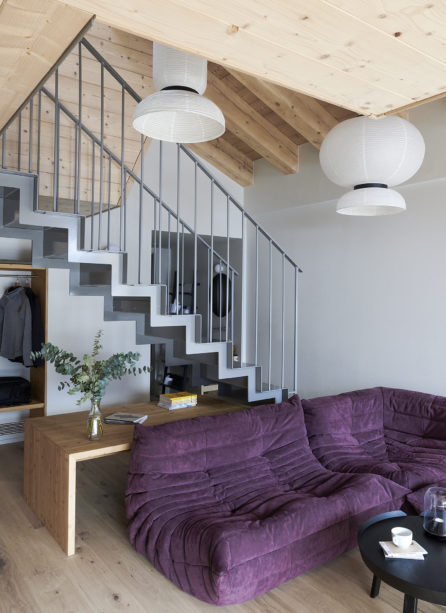 Carinabis351-e1733763386493-446x613